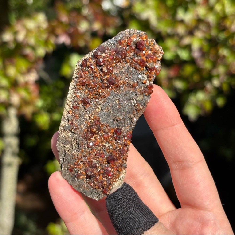 Garnet specimen